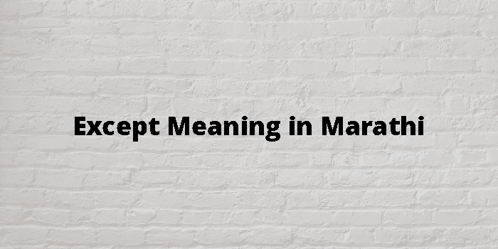 Except Meaning In Marathi - मराठी अर्थ