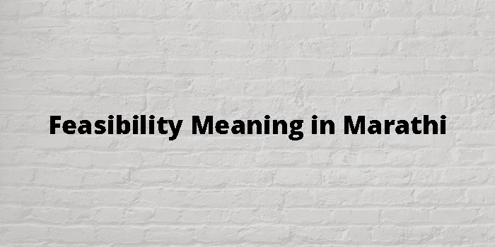 feasibility-meaning-in-marathi