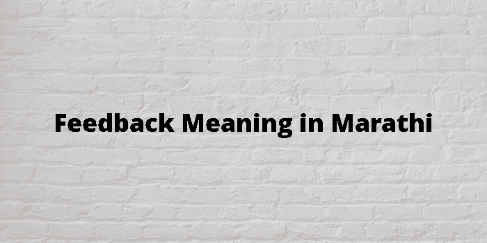 feedback-meaning-in-marathi