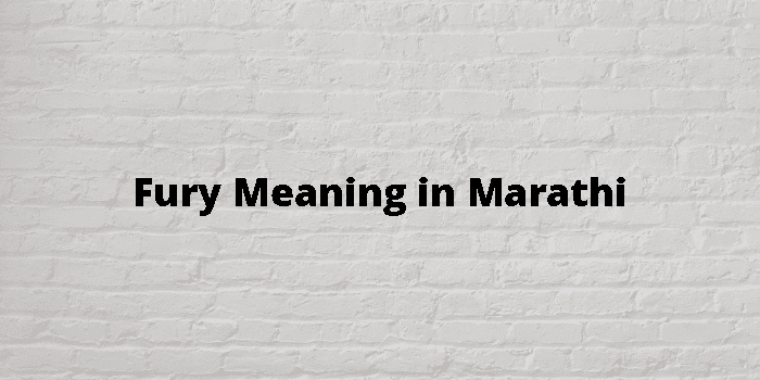 fury-meaning-in-marathi