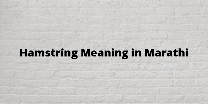 Hamstring Meaning In Marathi - मराठी अर्थ