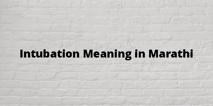 Intubation Meaning In Marathi - मराठी अर्थ