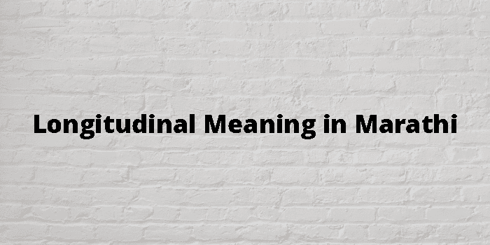 longitudinal-meaning-in-marathi