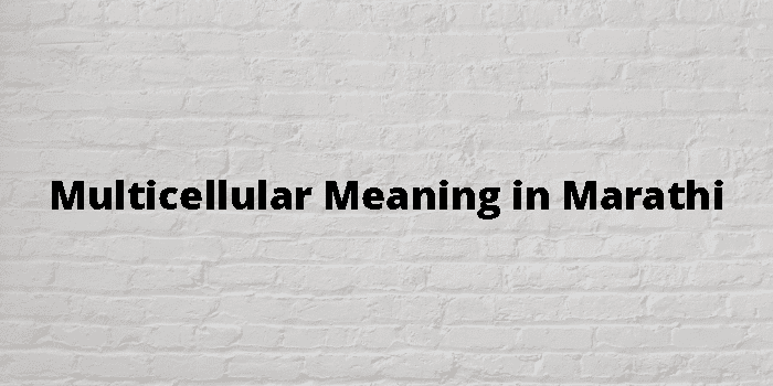 multicellular-meaning-in-marathi