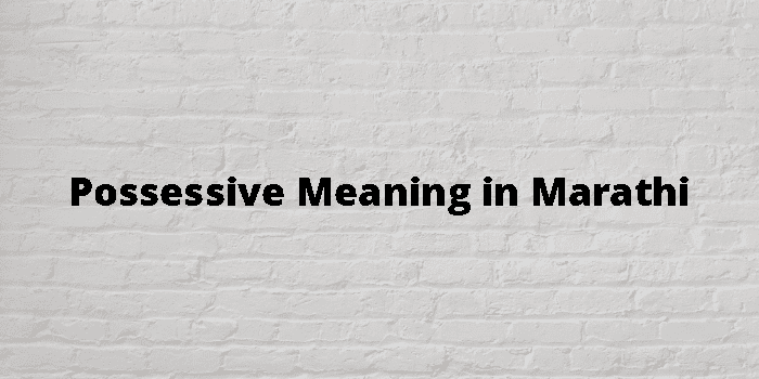 possessive-meaning-in-marathi