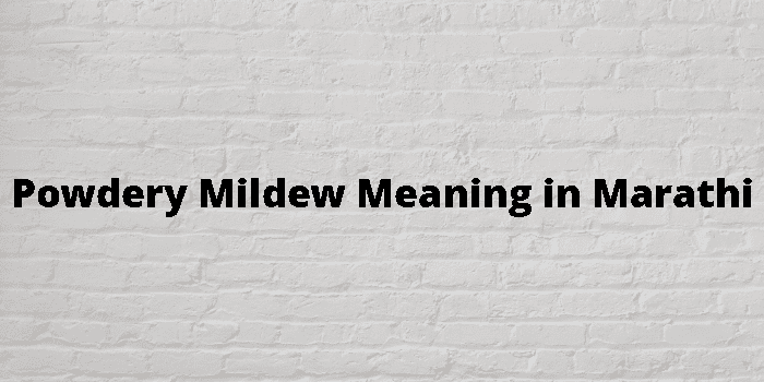 powdery-mildew-meaning-in-marathi