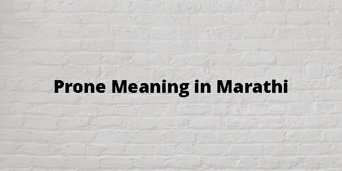 prone-meaning-in-marathi