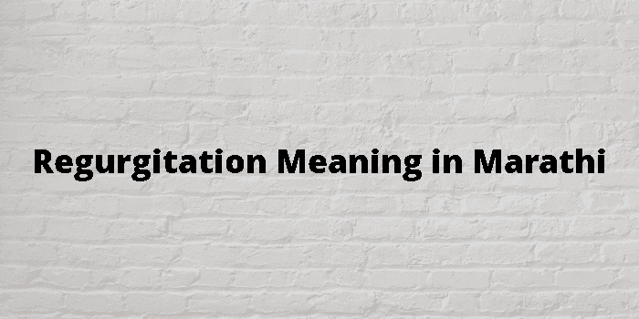 regurgitation-meaning-in-marathi