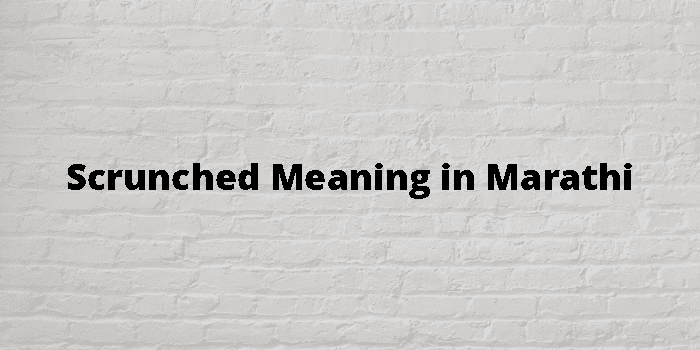 Scrunched Meaning In Marathi - मराठी अर्थ