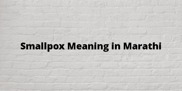 smallpox-meaning-in-marathi