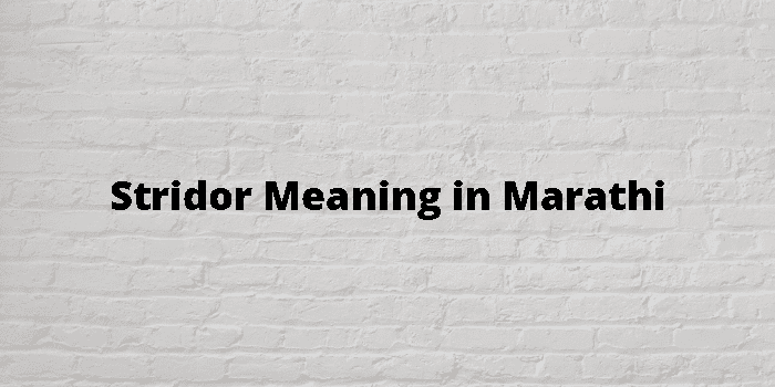 Stridor Meaning In Marathi - मराठी अर्थ