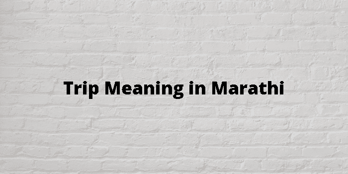 round trip meaning in marathi