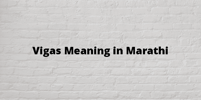 Vigas Meaning In Marathi - मराठी अर्थ