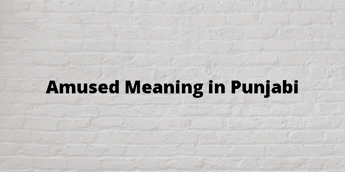 amused-meaning-in-punjabi