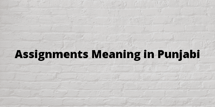 the meaning of assignment in punjabi