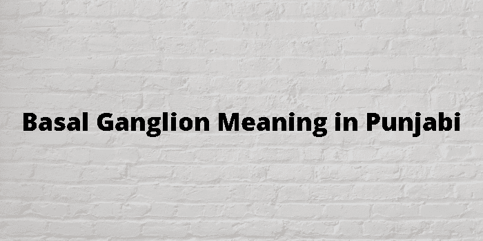 basal-ganglion-meaning-in-punjabi