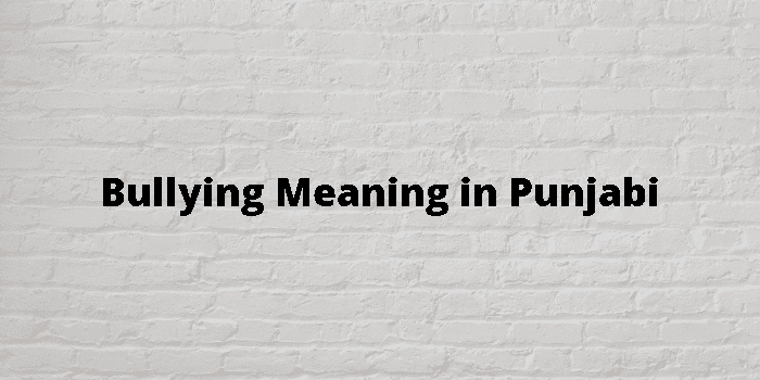 bullying-meaning-in-punjabi