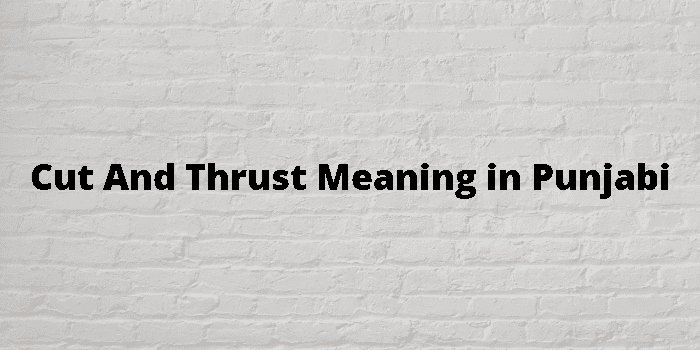 cut-and-thrust-meaning-in-punjabi