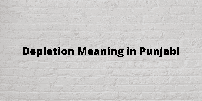 Depletion Meaning In Punjabi 