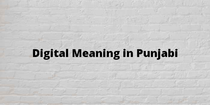 digital-meaning-in-punjabi