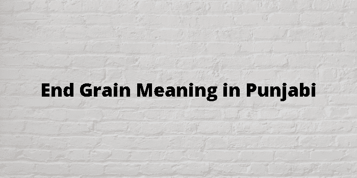 grain of sand meaning in punjabi