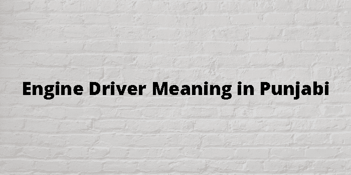 engine-driver-meaning-in-punjabi