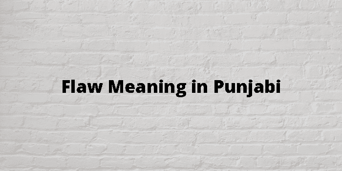 flaw-meaning-in-punjabi
