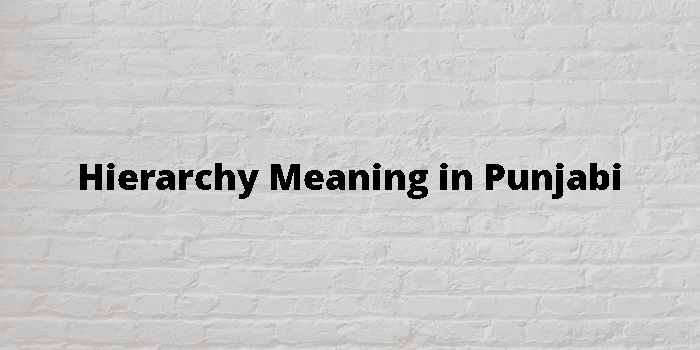 hierarchy-meaning-in-punjabi