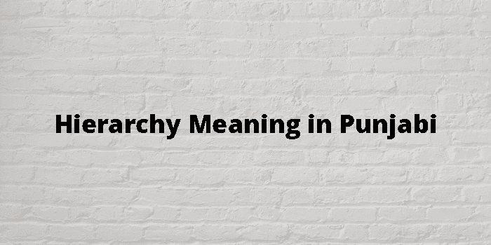 Hierarchy Meaning In Punjabi 