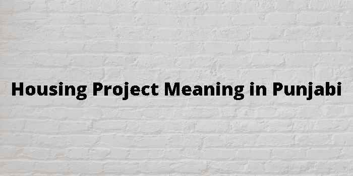 housing-project-meaning-in-punjabi