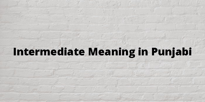 intermediate-meaning-in-punjabi