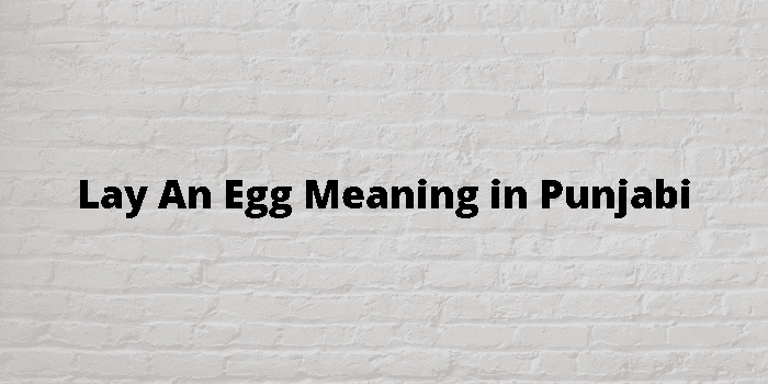 Lay An Egg Meaning In Punjabi 
