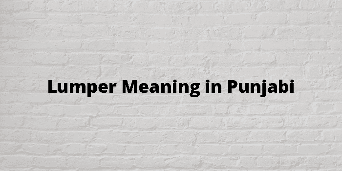 lumper-meaning-in-punjabi