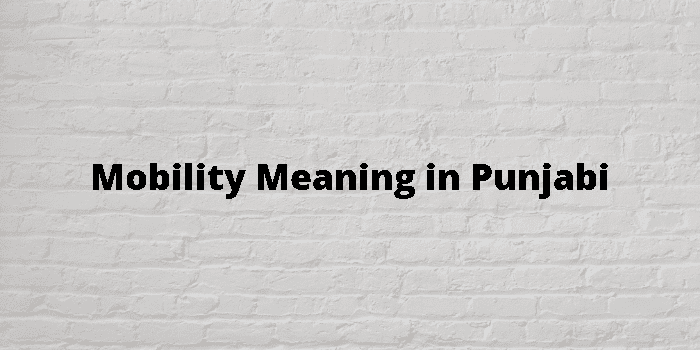 mobility-meaning-in-punjabi