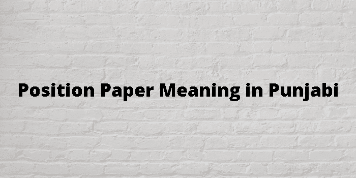 position-paper-meaning-in-punjabi