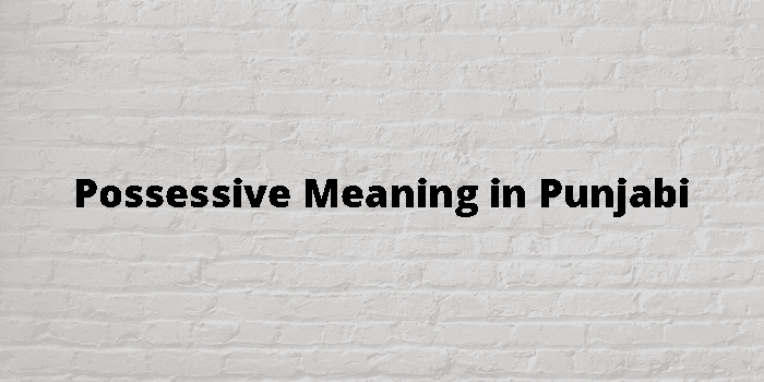 possessive-meaning-in-punjabi