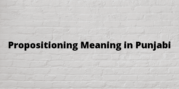 propositioning-meaning-in-punjabi