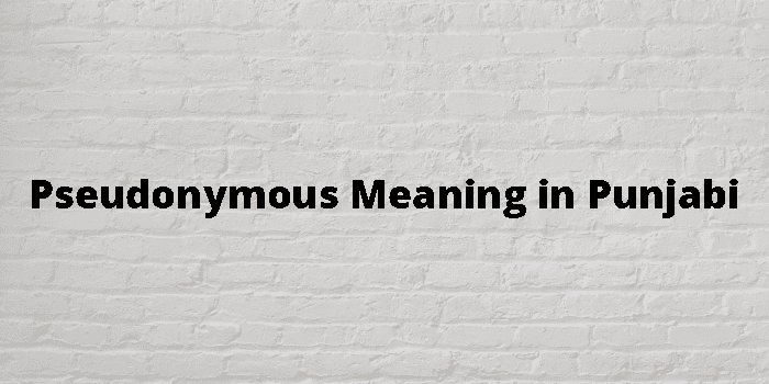 Pseudonymous Meaning In Punjabi - ਪੰਜਾਬੀ ਦਾ ਮਤਲਬ