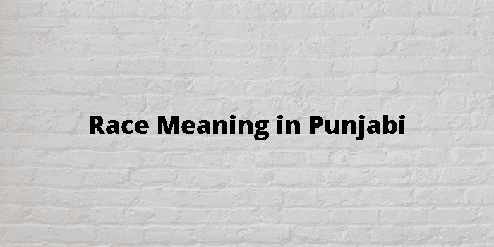 race-meaning-in-punjabi