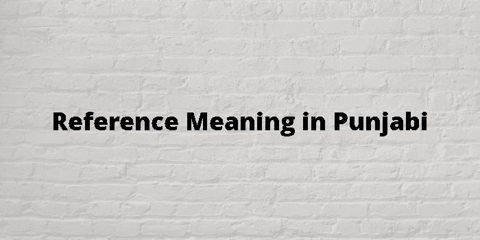 reference-meaning-in-punjabi