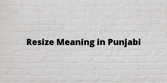 resize-meaning-in-punjabi