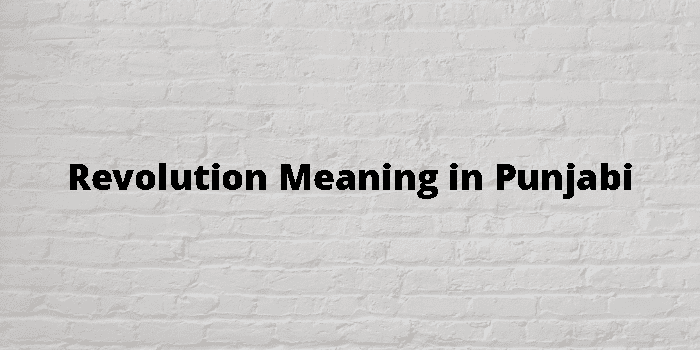 Revolution Meaning In Punjabi 