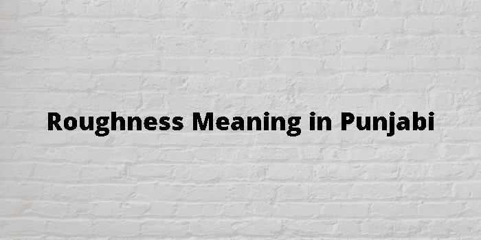 roughness-meaning-in-punjabi