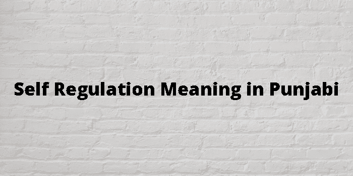 self-regulation-meaning-in-punjabi