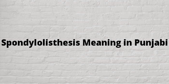 what the meaning of thesis in punjabi