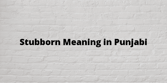 Stubborn Meaning in Punjabi - Meaning Punjabi