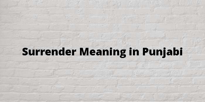 surrender-meaning-in-punjabi