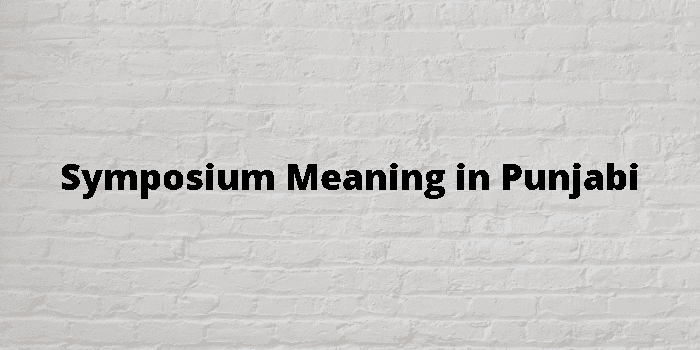 symposium-meaning-in-punjabi