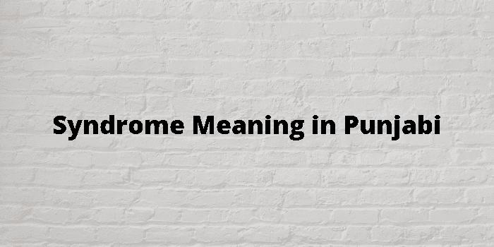 syndrome-meaning-in-punjabi