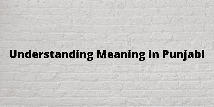 understanding-meaning-in-punjabi